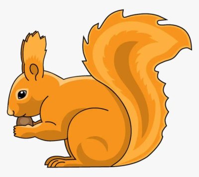 Белка на белом фоне