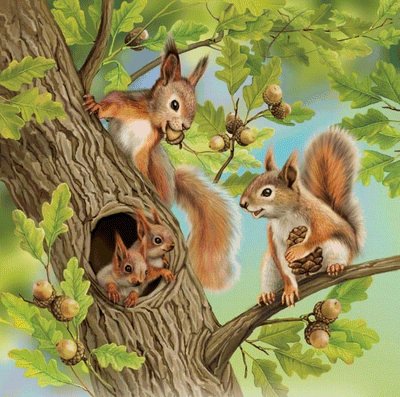 Лесные звери