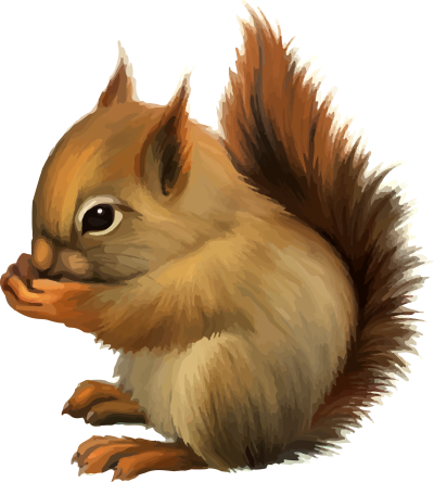 Белка на белом фоне