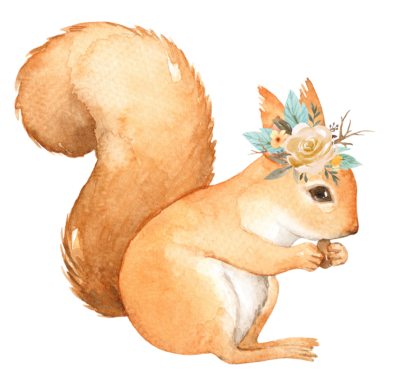 Рисунок белки