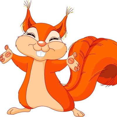 Белка на белом фоне