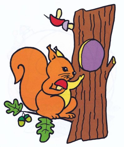 Белка в дупле