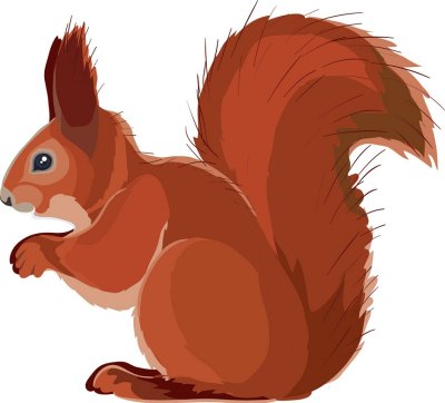 Белочка картинка для детей