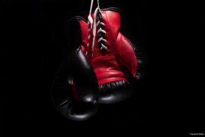 Перчатки боксерские tek7