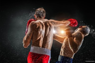 Бокс картинки