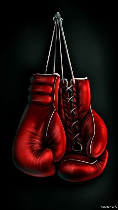 Боксерские Перчс