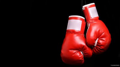 Боксерские перчатки Excalibur 16 oz