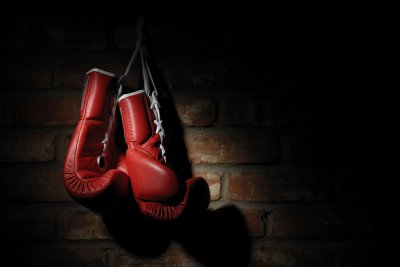 Боксерские перчатки Louis Vuitton