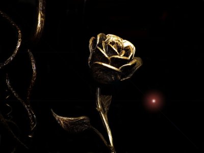 Золотая роза