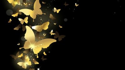 Бабочка на темном фоне