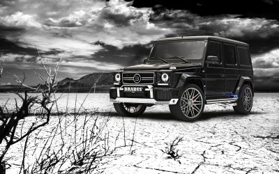 Mercedes Benz g65 AMG