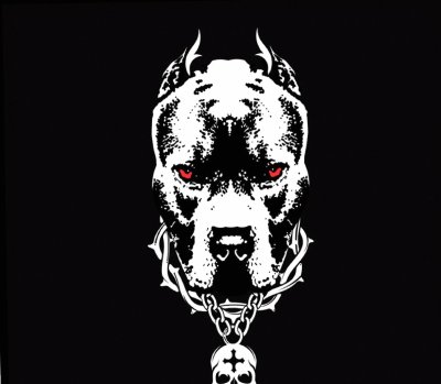 Питбуль черный