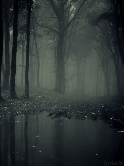 Мрачный пейзаж