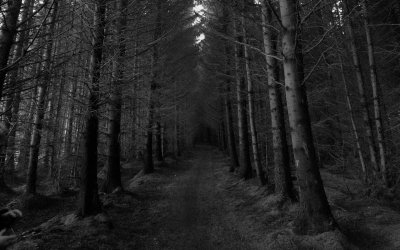 Страшный лес