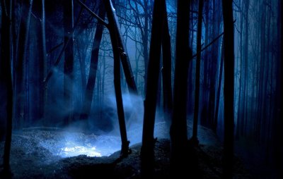 Темный лес