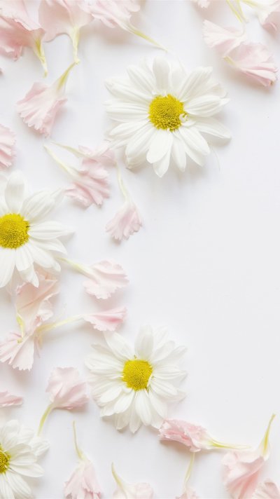 Нежные цветочки