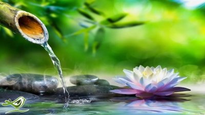 Картинки на рабочий стол успокаивающие