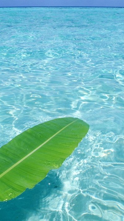 Зеленое море