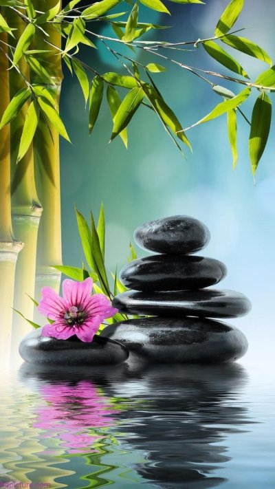 Природа спокойствие