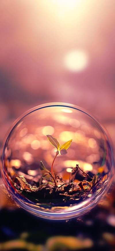 Абстракция природа