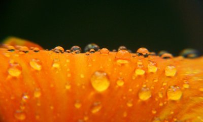 Оранжевые обои на рабочий стол