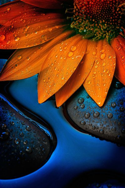 Яркие сочные цвета