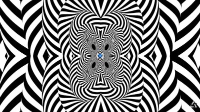 Иллюзия черно белая