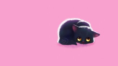 Котик на розовом фоне