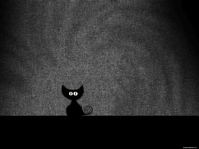 Кот на черном фоне