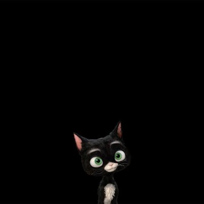 Кот на черном фоне на рабочий стол