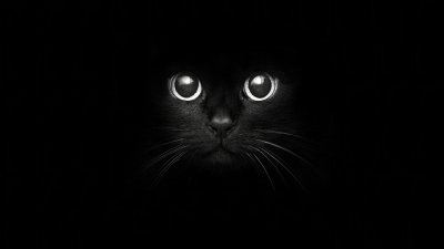 Черная кошка