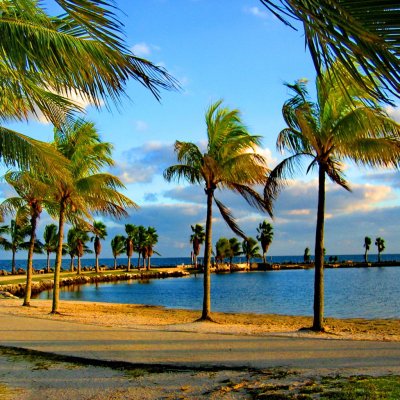 Майами природа