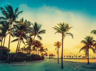 Майами пляж пальмы