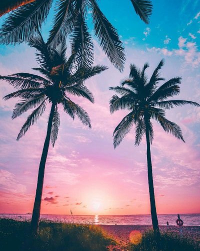 Майами (Флорида)