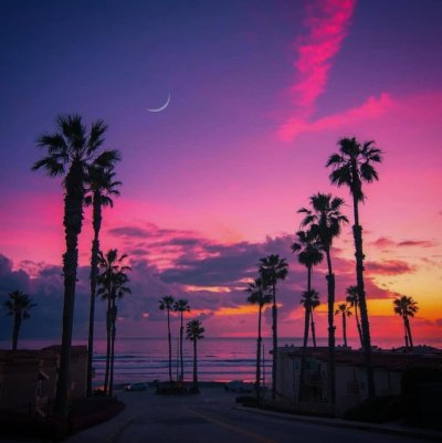 Лос Анджелес Калифорния пальмы