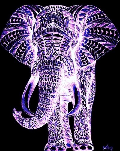 Красивые слоны