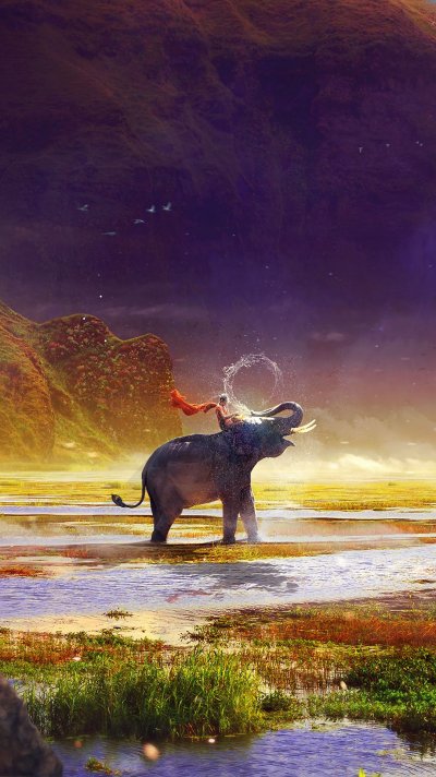 Слоны на водопаде