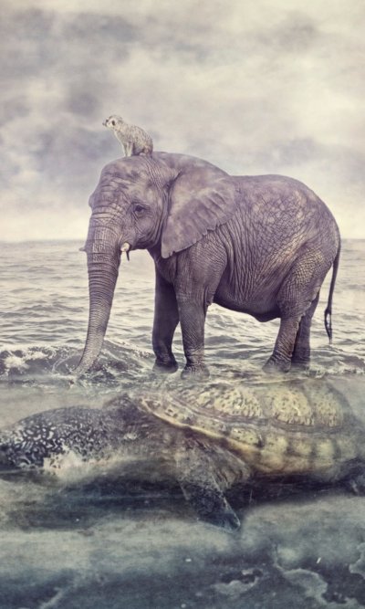 Слоны на водопаде