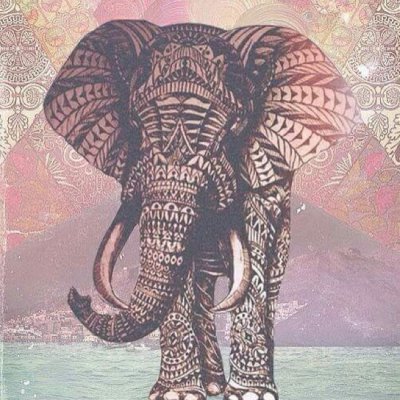 Картина слон