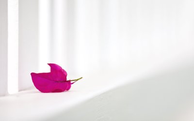 Картинки Минимализм