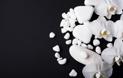 Белая Орхидея