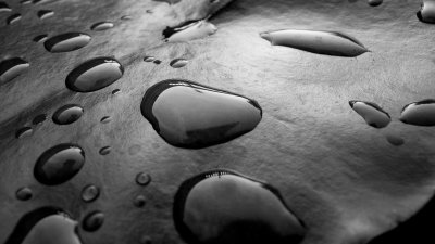 Черные капли