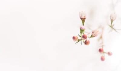 Светлый фон