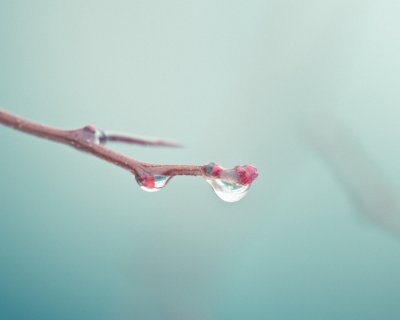 Весна Минимализм