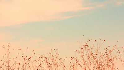 Красивый фон в пастельных тонах