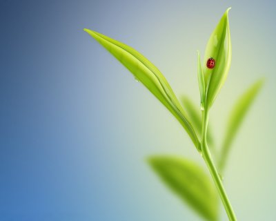 Картинки на рабочий стол Весна Минимализм