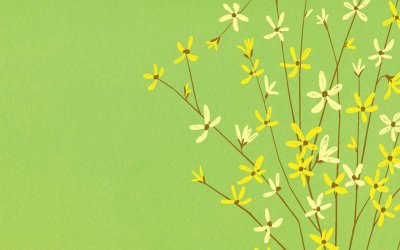 Минималистичные цветы