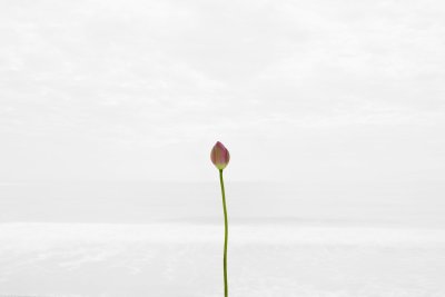 Фон Минимализм