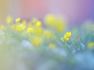 Весенний фон