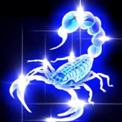 Красивый Скорпион